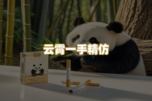 云霄一手精仿